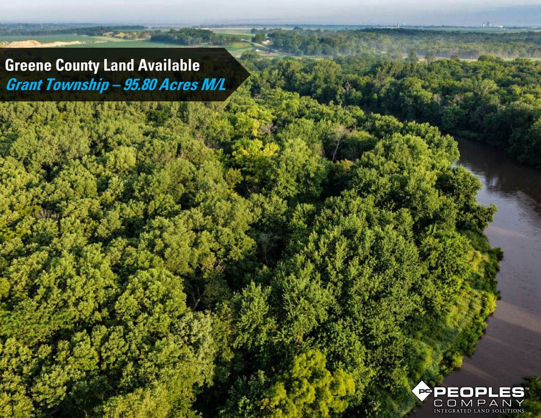 Listing Photo: Greene-Co-Rec-Land-Available-95-Acres-19559 (17)